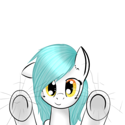 Size: 2000x2000 | Tagged: safe, artist:catopia26, oc, oc only, against glass, fourth wall, glass, high res, simple background, solo, transparent background, underhoof