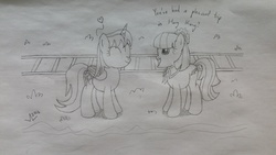Size: 5312x2988 | Tagged: safe, artist:parclytaxel, coco pommel, oc, oc:parcly taxel, alicorn, pony, g4, alicorn oc, eyes closed, grass, happy, heart, hong kong, lineart, monochrome, parcly in hong kong, railway track, smiling, story included, traditional art