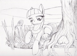 Size: 2296x1690 | Tagged: safe, artist:scribblepwn3, maud pie, earth pony, pony, g4, female, grass, monochrome, pen drawing, solo, traditional art, tree, water, wip