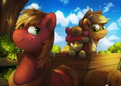 Size: 1024x728 | Tagged: safe, artist:anticular, apple bloom, applejack, big macintosh, earth pony, pony, g4, cart, male, stallion