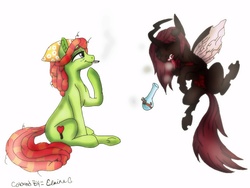 Size: 1024x768 | Tagged: safe, artist:wilt and blush, tree hugger, oc, oc:invictia sadie, changeling, g4, bong, colored, coughing, drugs, duo, joint, marijuana, red changeling, smiling, smoking