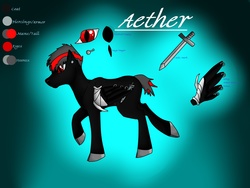 Size: 2592x1944 | Tagged: safe, oc, oc only, pegasus, pony, armor, male, stallion, strength