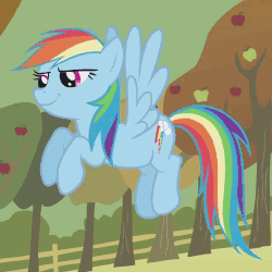 Size: 500x500 | Tagged: safe, screencap, rainbow dash, fall weather friends, g4, animated, cropped, female, flying, smug flapflap, solo, sweet apple acres
