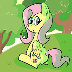 Size: 576x576 | Tagged: safe, artist:pembroke, fluttershy, g4, butt, female, flutterbutt, plot, solo