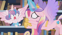 Size: 1956x1096 | Tagged: safe, screencap, princess cadance, princess flurry heart, g4, the crystalling, baby, book, bookshelf, cloth diaper, diaper, discovery family logo, duo, faic, female, library, mother and child, mother and daughter, pre sneeze, reaching, safety pin