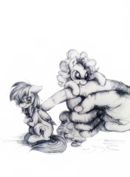 Size: 845x1150 | Tagged: safe, artist:buttersprinkle, pinkie pie, rainbow dash, earth pony, pegasus, pony, g4, biting, blushing, cute, grumpy, hand, in goliath's palm, micro, monochrome, pen drawing, size difference, tiny, tiny ponies, traditional art