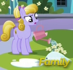 Size: 411x395 | Tagged: safe, screencap, amber waves, crystal pony, pony, g4, the crystalling, background pony, confused, cropped, discovery family logo, female, flower, frown, ice, mare, open mouth, raised eyebrow, snow, solo, watering can, wide eyes