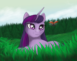 Size: 1280x1024 | Tagged: safe, artist:comsing8, twilight sparkle, ladybug, g4, female, forest, hilarious in hindsight, meadow, prone, solo