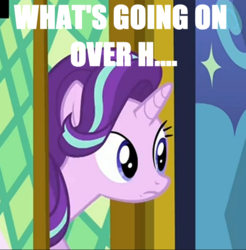 Size: 582x592 | Tagged: safe, edit, screencap, starlight glimmer, g4, the crystalling, female, frown, image macro, meme, reaction image, shocked, solo, text edit, what's going on in this thread, wide eyes