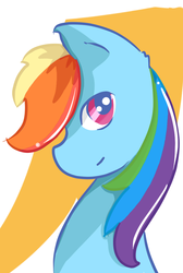 Size: 732x1088 | Tagged: safe, artist:fluffleduckle, rainbow dash, g4, female, looking at you, portrait, simple background, solo