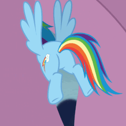 Size: 450x450 | Tagged: safe, screencap, rainbow dash, pony, g4, the crystalling, animated, butt, buttstuck, curtains, female, flapping, floating, mare, plot, rainbutt dash, solo, stuck, underhoof