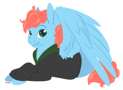 Size: 2656x1958 | Tagged: safe, artist:floots, oc, oc only, oc:stitch, pegasus, pony, clothes, crossed hooves, hoodie, lineless, male, spread wings, stallion