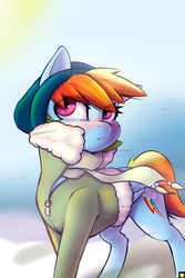 Size: 2400x3600 | Tagged: safe, artist:captainpudgemuffin, rainbow dash, pegasus, pony, g4, beanie, blushing, clothes, cute, dashabetes, female, hat, high res, jacket, mare, solo