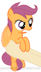 Size: 3653x6389 | Tagged: safe, artist:justisanimation, scootaloo, human, pegasus, pony, g4, angry, buzzing wings, cute, cutealoo, flapping, glare, gritted teeth, hand, holding a pony, i'm not cute, justis holds a pony, madorable, put me down, scootaloo is not amused, simple background, solo focus, transparent background, wings