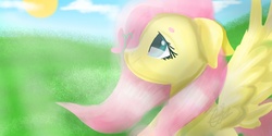 Size: 2000x1000 | Tagged: safe, artist:carolancho, fluttershy, butterfly, g4, bust, female, floppy ears, insect on nose, looking at something, looking up, profile, solo, spread wings