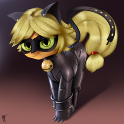Size: 800x800 | Tagged: safe, artist:supermare, applejack, cat, g4, applecat, bell, bell collar, chat noir, claws, collar, crossover, digital art, female, miraculous ladybug, signature, solo