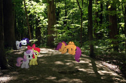 Size: 4592x3056 | Tagged: safe, artist:acer-rubrum, artist:hachaosagent, artist:hombre0, artist:lilcinnamon, artist:tigersoul96, apple bloom, rarity, scootaloo, sweetie belle, earth pony, pegasus, pony, unicorn, g4, buzzing wings, cutie mark crusaders, eyes closed, female, filly, foal, forest, irl, mare, photo, ponies in real life, shadow, trying to fly, vector, wings