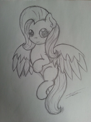 Size: 2448x3264 | Tagged: safe, artist:fluttair, fluttershy, g4, female, high res, looking at you, monochrome, pencil drawing, sketch, solo, spread wings, traditional art