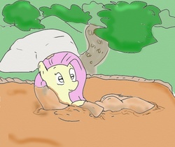 Size: 535x449 | Tagged: safe, artist:php162, fluttershy, g4, color, female, mud, solo