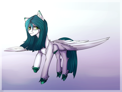 Size: 1024x768 | Tagged: safe, artist:orfartina, oc, oc only, pegasus, pony, solo