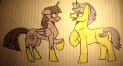 Size: 1024x548 | Tagged: safe, artist:pimpartist101, comet tail, twilight sparkle, alicorn, pony, g4, female, lined paper, male, mare, ship:cometlight, shipping, straight, traditional art, twilight sparkle (alicorn)