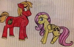 Size: 1024x645 | Tagged: safe, artist:pimpartist101, big macintosh, fluttershy, earth pony, pony, g4, lined paper, male, ship:fluttermac, shipping, stallion, straight, traditional art