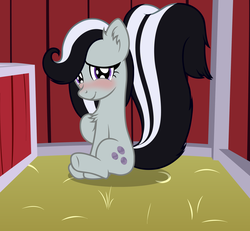 Size: 2747x2536 | Tagged: safe, artist:badumsquish, derpibooru exclusive, marble pie, original species, pony, skunk, skunk pony, g4, alternate hair color, alternate hairstyle, barn, blushing, chest fluff, female, high res, looking at you, nervous, paraquestria, raised leg, shy, sitting, skunkified, smiling, solo, species swap