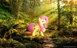 Size: 1920x1200 | Tagged: safe, artist:exceru-karina, fluttershy, pegasus, pony, g4, crepuscular rays, eyes closed, female, forest, irl, photo, ponies in real life, raised hoof, solo