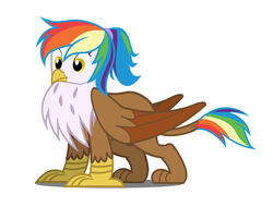 Size: 856x651 | Tagged: safe, artist:flash equestria photography, oc, oc only, oc:rainbow feather, griffon, g4, interspecies offspring, magical lesbian spawn, next generation, offspring, parent:gilda, parent:rainbow dash, parents:gildash, simple background, solo, vector, white background