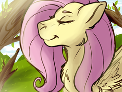Size: 1024x768 | Tagged: safe, artist:walnutspice, fluttershy, pegasus, pony, g4, chest fluff, eyes closed, female, mare, solo
