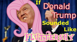 Size: 592x325 | Tagged: safe, fluttershy, human, g4, donald trump, irl, irl human, photo, youtube link