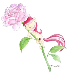Size: 1936x2019 | Tagged: safe, artist:raiwee, roseluck, earth pony, pony, g4, eyes closed, female, flower, hug, mare, micro, rose, simple background, solo, traditional art