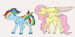 Size: 1024x512 | Tagged: safe, artist:mattsykun, fluttershy, rainbow dash, g4, colored wings, duo, simple background, spread wings, standing, tail feathers