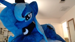 Size: 1920x1080 | Tagged: safe, artist:agatrix, princess luna, g4, irl, life size, photo, plushie, s1 luna, solo