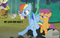 Size: 841x530 | Tagged: safe, edit, edited screencap, screencap, rainbow dash, rarity, scootaloo, sweetie belle, g4, sleepless in ponyville