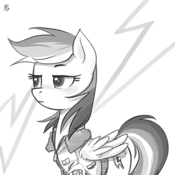 Size: 735x736 | Tagged: safe, artist:ehfa, rainbow dash, pegasus, pony, g4, clothes, female, grayscale, jacket, mare, monochrome, simple background, solo, white background