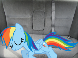 Size: 774x576 | Tagged: safe, rainbow dash, g4, car, irl, photo, ponies in real life, sleeping, vector
