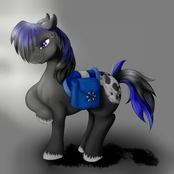 Size: 3000x3000 | Tagged: safe, artist:chovexani, oc, oc only, oc:fateful destiny, pony, appaloosa, bedroom eyes, freckles, high res, male, raised hoof, saddle, saddle bag, smiling, solo, stallion