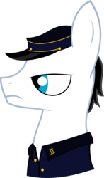 Size: 542x920 | Tagged: safe, artist:braziliancitizen, oc, earth pony, pony, brazil, paraguayan war, ponified, portrait, soldier