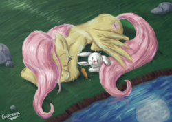 Size: 1754x1240 | Tagged: safe, artist:gaiascope, angel bunny, fluttershy, pegasus, pony, rabbit, g4, animal, carrot, covering, duo, food, grass, lying down, prone, river, sleeping, stone, tail, tail covering