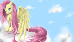 Size: 1440x810 | Tagged: safe, artist:robbergon, fluttershy, g4, cloud, female, sitting, solo, spread wings