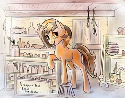 Size: 2000x1572 | Tagged: safe, artist:viwrastupr, oc, oc only, oc:orange burst, pony, unicorn, broom, female, mare, pot, pun, shop, solo, stool