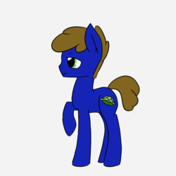 Size: 1000x1000 | Tagged: safe, artist:melodicmarzipan, oc, oc only, oc:navy shell, earth pony, pony, raised hoof, simple background, solo