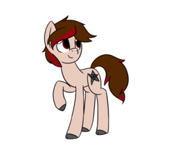 Size: 1500x1400 | Tagged: safe, artist:melodicmarzipan, oc, oc only, earth pony, pony, simple background, solo, white background