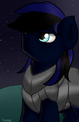 Size: 895x1385 | Tagged: safe, artist:stargazer, oc, oc only, oc:night shadow, earth pony, pony, armor, male, night, solo