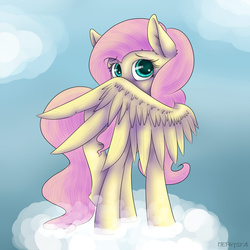 Size: 1024x1024 | Tagged: safe, artist:mephysta, fluttershy, g4, cloud, covering, female, solo, wings