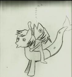 Size: 582x623 | Tagged: safe, artist:theengideer, fish, fishman, mermaid, merpony, crossover, fishy, riding, sketch, text