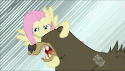 Size: 852x480 | Tagged: safe, edit, edited screencap, screencap, fluttershy, harry, bear, g4, lesson zero, animated, hub logo, loop, neck snap, out of context