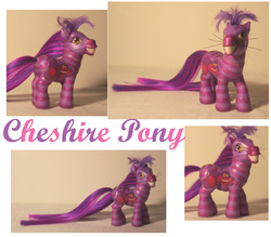 Size: 2467x2165 | Tagged: safe, artist:deepdarkcreations, pony, g3, alice in wonderland, cheshire cat, customized toy, disney, high res, irl, photo, ponified, solo, toy