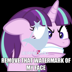 Size: 1023x1024 | Tagged: safe, starlight glimmer, g4, derpibooru premium, grammar error, image macro, meme, obtrusive watermark, watermark